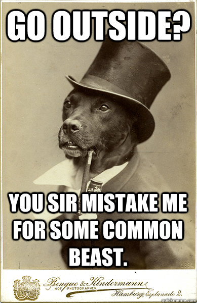 go outside? you sir mistake me for some common beast.  Old Money Dog
