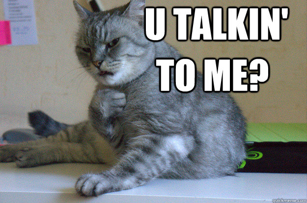  u talkin' to me? -  u talkin' to me?  De Niro Cat