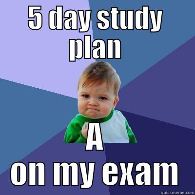 5 DAY STUDY PLAN A ON MY EXAM Success Kid