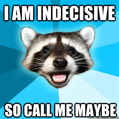 I am indecisive so call me maybe  Lame Pun Raccoon