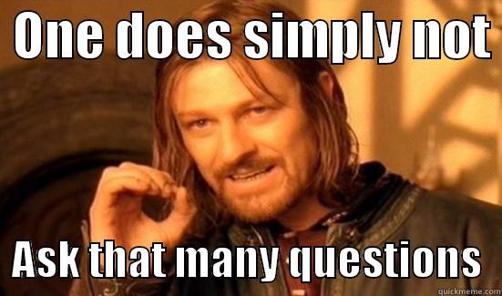  ONE DOES SIMPLY NOT    ASK THAT MANY QUESTIONS  Boromir