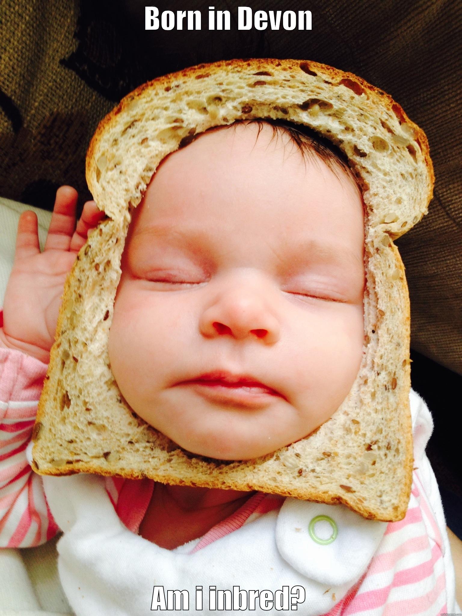 BORN IN DEVON AM I INBRED? Misc