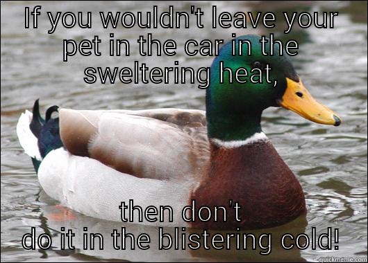 IF YOU WOULDN'T LEAVE YOUR PET IN THE CAR IN THE SWELTERING HEAT, THEN DON'T DO IT IN THE BLISTERING COLD! Actual Advice Mallard
