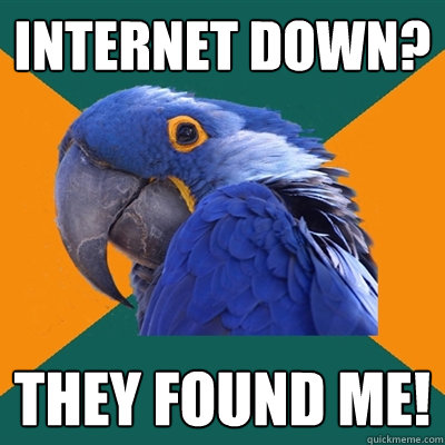 Internet down? They found me!  Paranoid Parrot