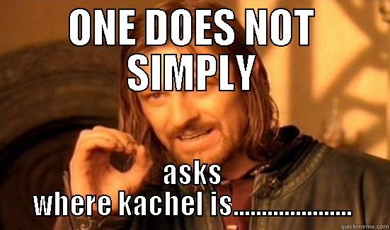 ONE DOES NOT SIMPLY ASKS WHERE KACHEL IS..................... Boromir