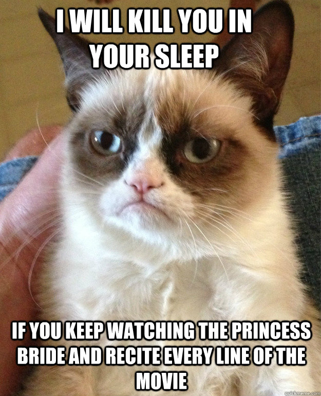 I will kill you in your sleep if you keep watching the princess bride and recite every line of the movie - I will kill you in your sleep if you keep watching the princess bride and recite every line of the movie  Grumpy Cat