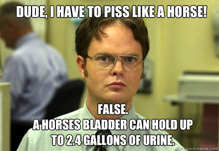 Dude, I have to piss like a horse! FALse.
A horses bladder can hold up to 2.4 gallons of urine.  Schrute