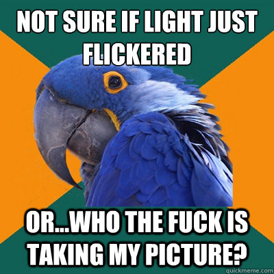 not sure if light just flickered or...who the fuck is taking my picture?  Paranoid Parrot