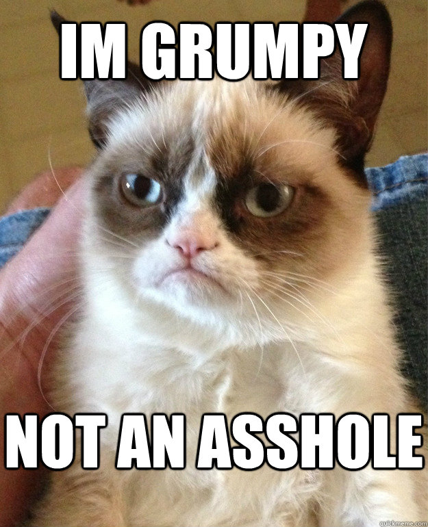 Im grumpy Not an asshole  Grumpy Cat