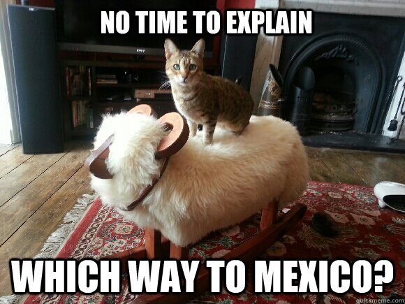 No Time To Explain Which way to mexico? - No Time To Explain Which way to mexico?  Fugitive Cat