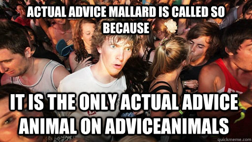 ACtual Advice mallard is called so because it is the only actual advice animal on AdviceANimals  Sudden Clarity Clarence