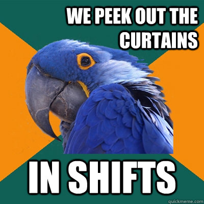 We peek out the curtains In shifts  Paranoid Parrot