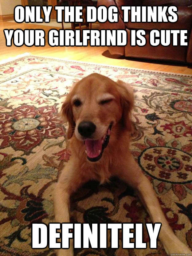 Only the dog thinks your girlfrind is cute definitely  Subtly Sexual Dog