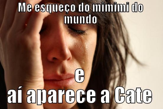 ME ESQUEÇO DO MIMIMI DO MUNDO E AÍ APARECE A CATE First World Problems