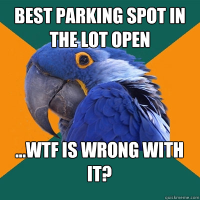 Best parking spot in the lot open ...WTF is wrong with it?  Paranoid Parrot