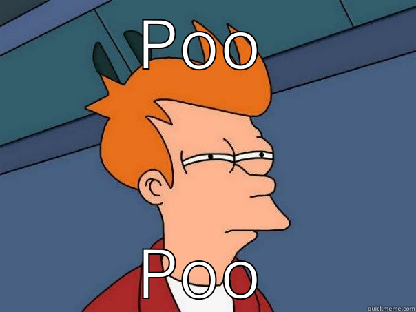 POO POO Futurama Fry
