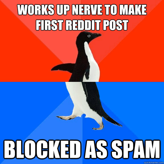 Works up nerve to make first reddit post blocked as spam  Socially Awesome Awkward Penguin