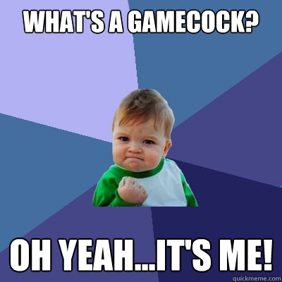What's a gamecock? Oh yeah...it's me!  Success Kid