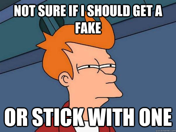 Not sure if I should get a fake Or stick with one - Not sure if I should get a fake Or stick with one  Futurama Fry
