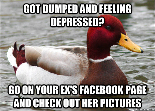 Got dumped and feeling depressed? Go on your ex's Facebook page and check out her pictures  Malicious Advice Mallard