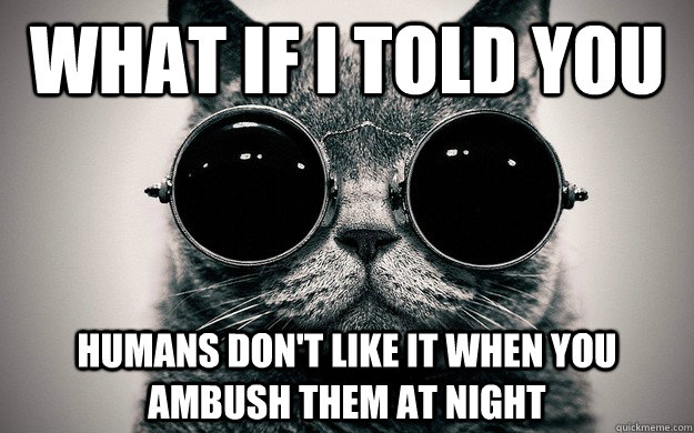 What if i told you Humans don't like it when you ambush them at night  Morpheus Cat Facts