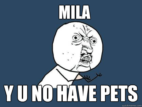 mila y u no have pets  Y U No