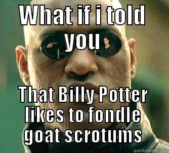 WHAT IF I TOLD YOU THAT BILLY POTTER LIKES TO FONDLE GOAT SCROTUMS Matrix Morpheus