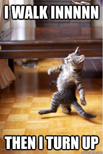 I Walk Innnnn Then I Turn Up - I Walk Innnnn Then I Turn Up  Strutting Cat