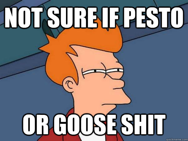 Not sure if pesto Or goose shit  Futurama Fry