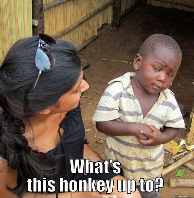 WHAT'S THIS HONKEY UP TO? Skeptical Third World Kid