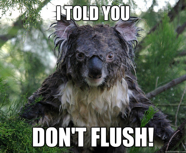 I TOLD YOU DON'T FLUSH! - I TOLD YOU DON'T FLUSH!  Wet Koala