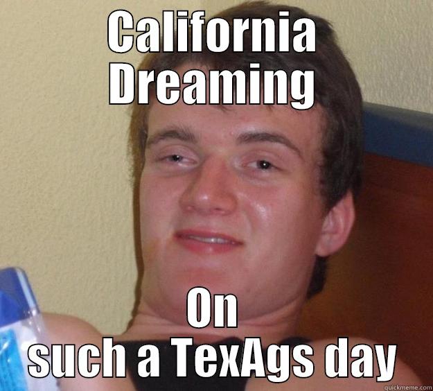 CALIFORNIA DREAMING ON SUCH A TEXAGS DAY 10 Guy