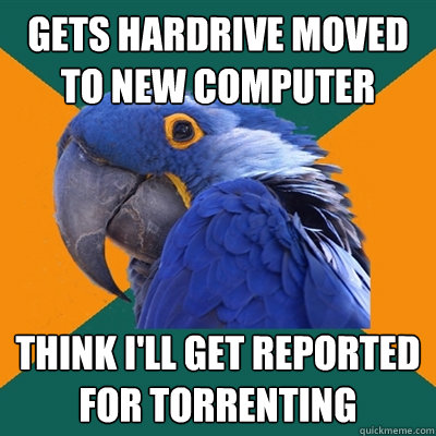 Gets hardrive moved to new computer Think I'll get reported for torrenting  Paranoid Parrot
