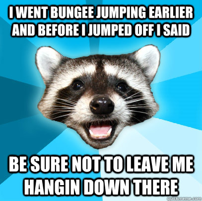 I went bungee jumping earlier and before i jumped off i said be sure not to leave me hangin down there  Lame Pun Coon