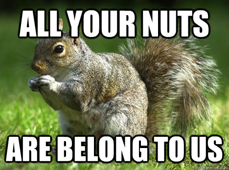 All your nuts are belong to us - All your nuts are belong to us  squirrels take over