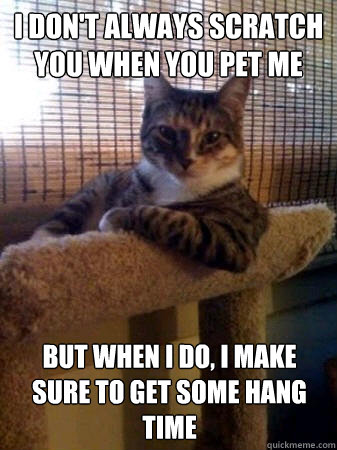 I don't always scratch you when you pet me But when I do, I make sure to get some hang time  The Most Interesting Cat in the World