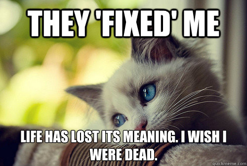 They 'fixed' me Life has lost its meaning. I wish I were dead.  First World Cat Problems