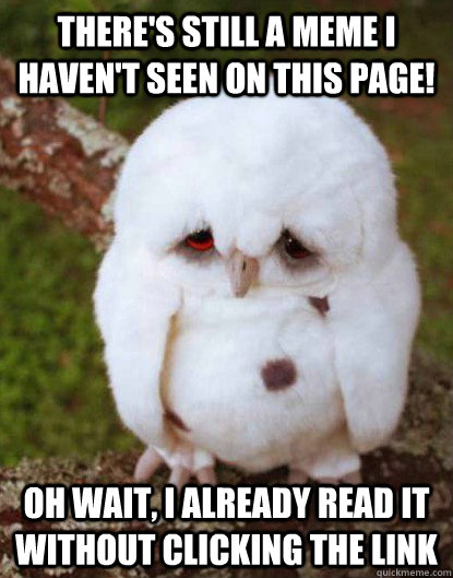 There's still a meme I haven't seen on this page! Oh wait, I already read it without clicking the link - There's still a meme I haven't seen on this page! Oh wait, I already read it without clicking the link  Depressed Baby Owl