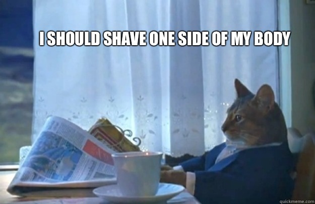 I should shave one side of my body  Sophisticated Cat