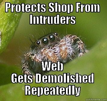 Misunderstood Spider Bro - PROTECTS SHOP FROM INTRUDERS WEB GETS DEMOLISHED REPEATEDLY Misunderstood Spider