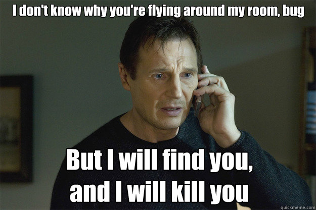 I don't know why you're flying around my room, bug But I will find you,
and I will kill you - I don't know why you're flying around my room, bug But I will find you,
and I will kill you  Liam Neeson Phone Call