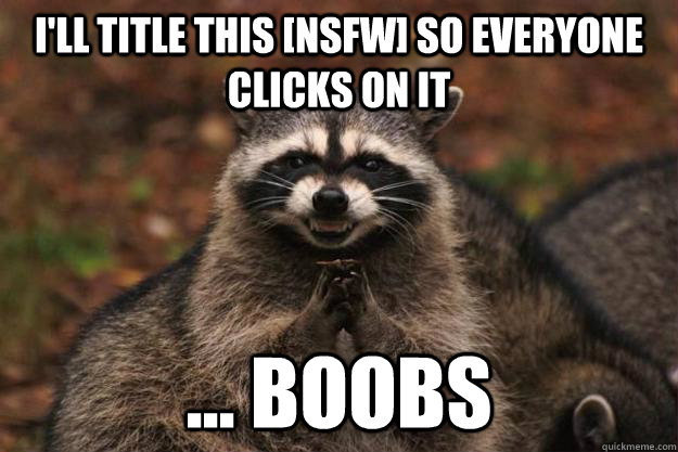I'll title this [NSFW] so everyone clicks on it ... boobs  Evil Plotting Raccoon