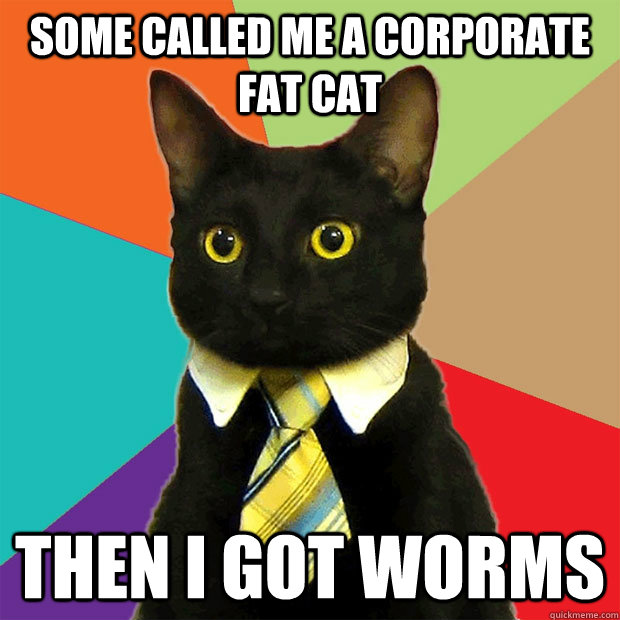 Some called me a corporate fat cat Then I got worms  Business Cat