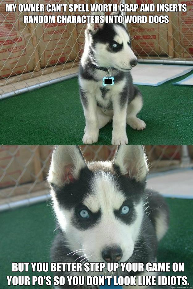 My owner can't spell worth crap and inserts random characters into word docs But you better step up your game on your PO's so you don't look like idiots.  Insanity puppy