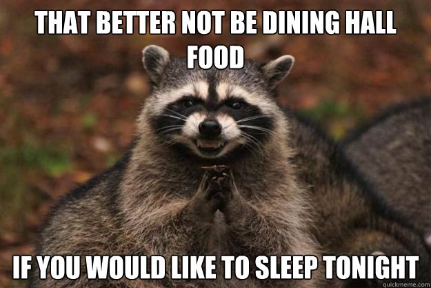 That better not be dining hall food if you would like to sleep tonight  Evil Plotting Raccoon