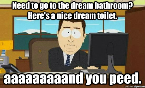 Need to go to the dream bathroom? Here's a nice dream toilet. aaaaaaaaand you peed.  anditsgone