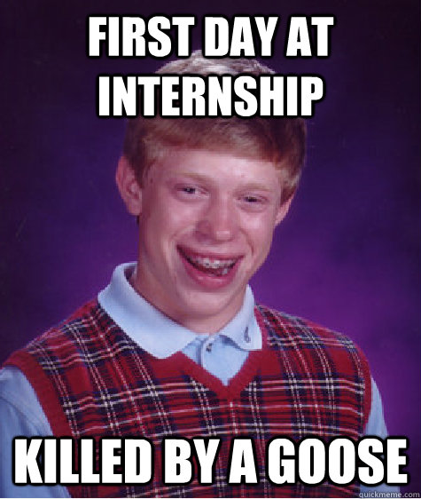 first day at internship killed by a goose  Bad Luck Brian