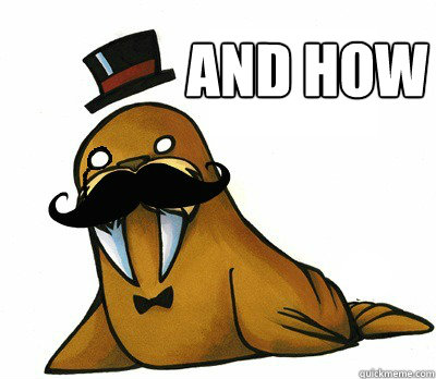 and how  Fancy Walrus