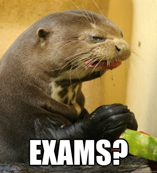  Exams?  Disgusted Otter