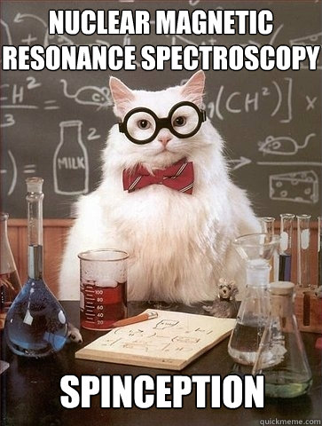 Nuclear Magnetic Resonance Spectroscopy Spinception  Chemistry Cat